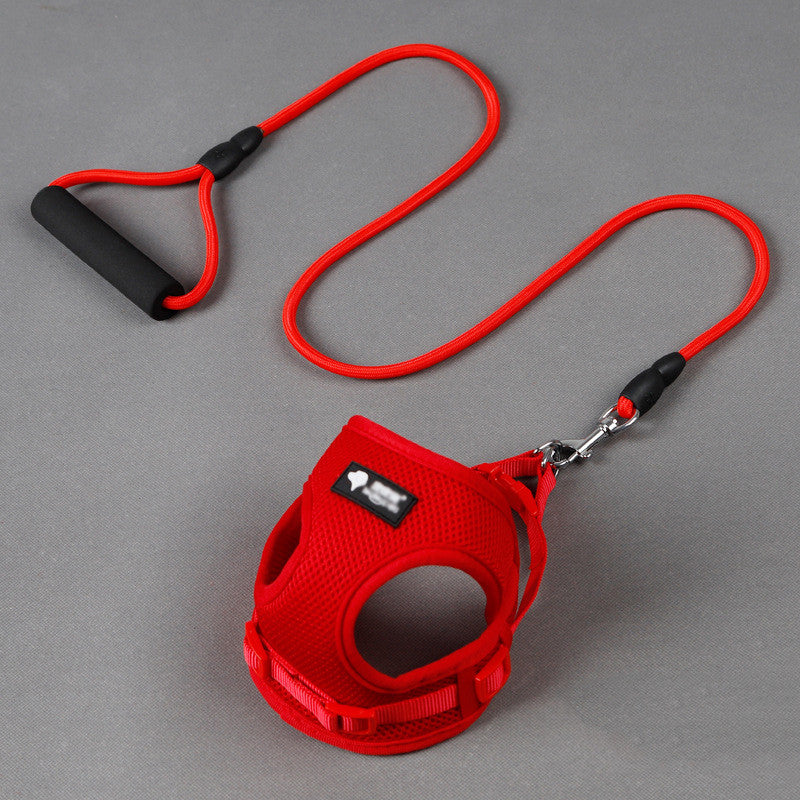 Unleash Adventure with Our Pet Leash And Collar Set
