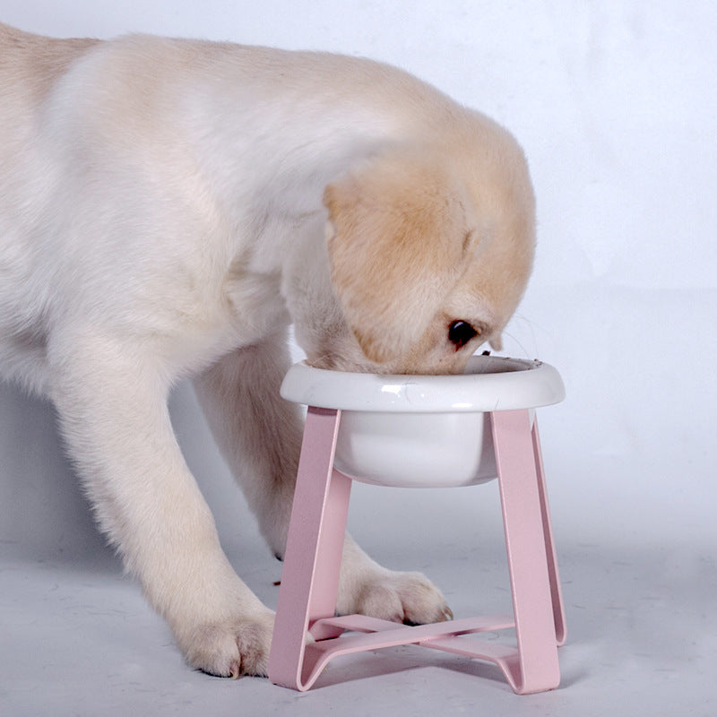 Elevate Your Pet's Dining Experience with Our Anti-Slip Feeding Bowl
