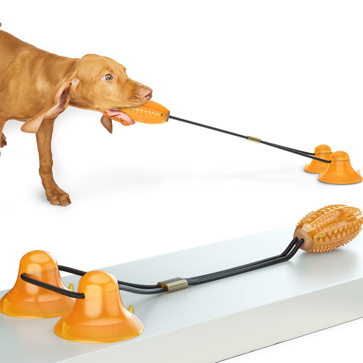 Why Your Pet Deserves the Multifunction Double Tug Rope Ball Suction Toy