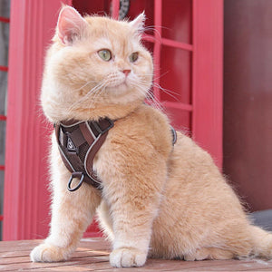 Unleash Adventure with Our Pet Harness Vest Chest Strap