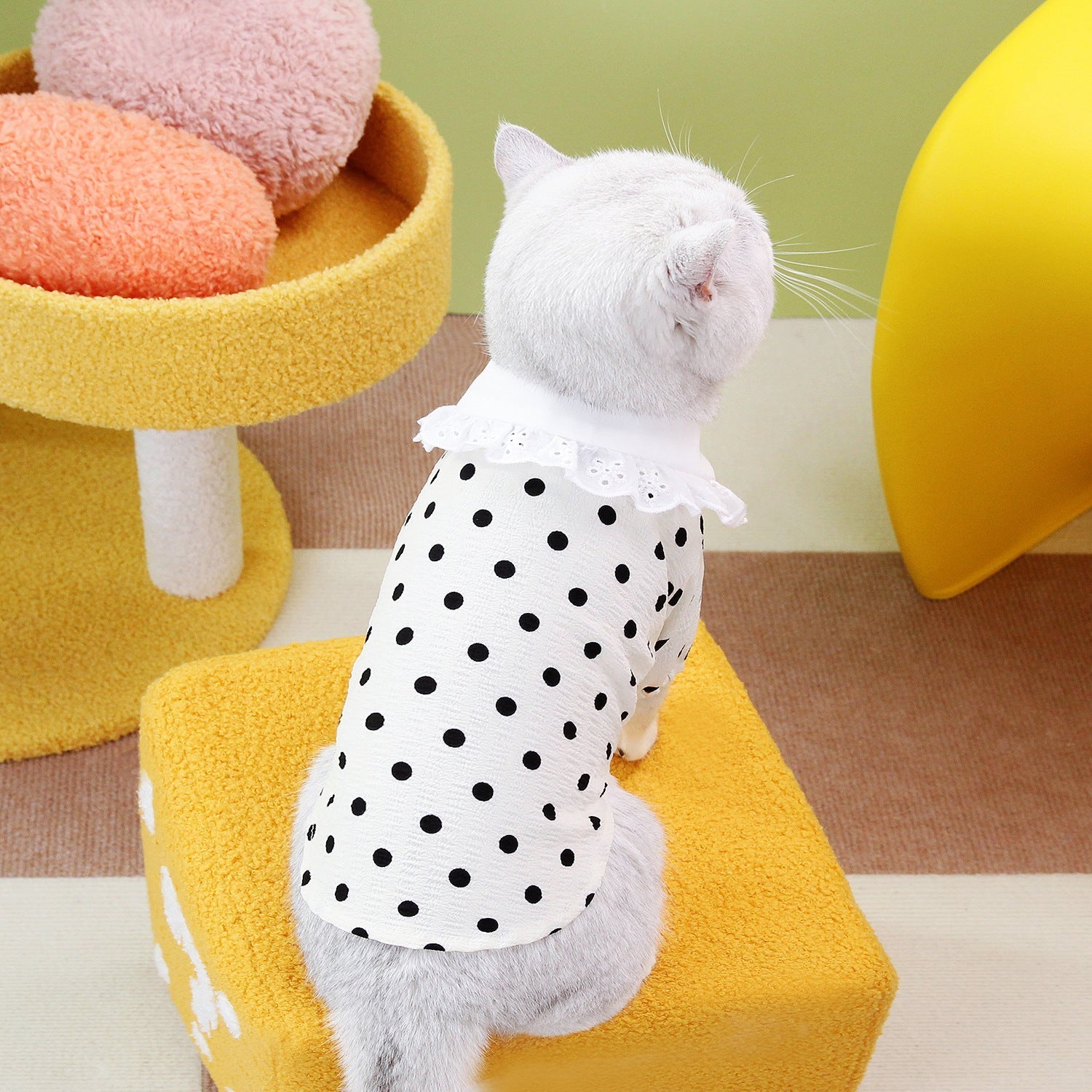 Chic Comfort for Your Feline Friend: The Blue Cat Ragdoll T-Shirt