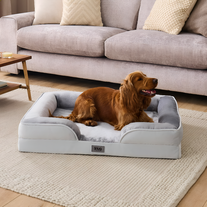 Comfortable Pet Beds for Better Sleep