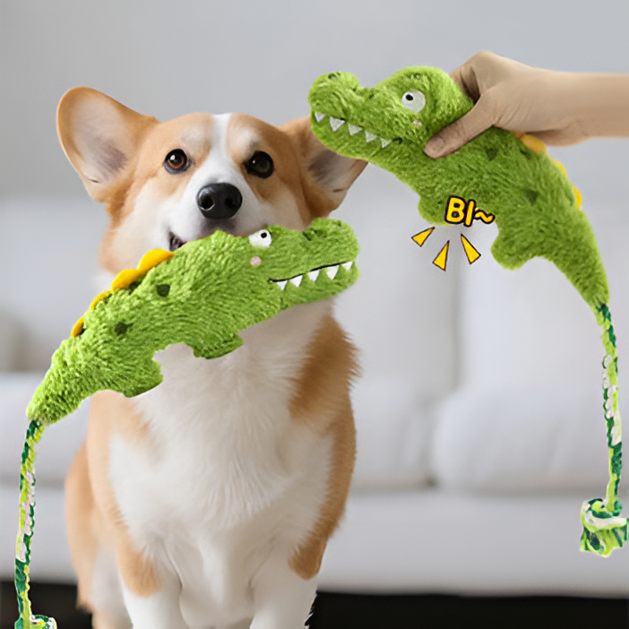 Fun & Interactive Pet Toys Collection