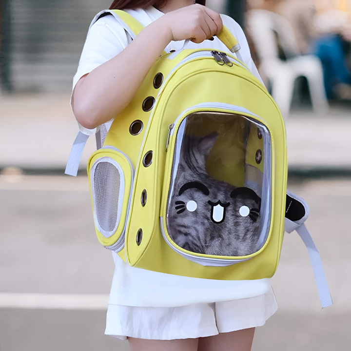 Safe & Comfortable Pet Travel Carriers